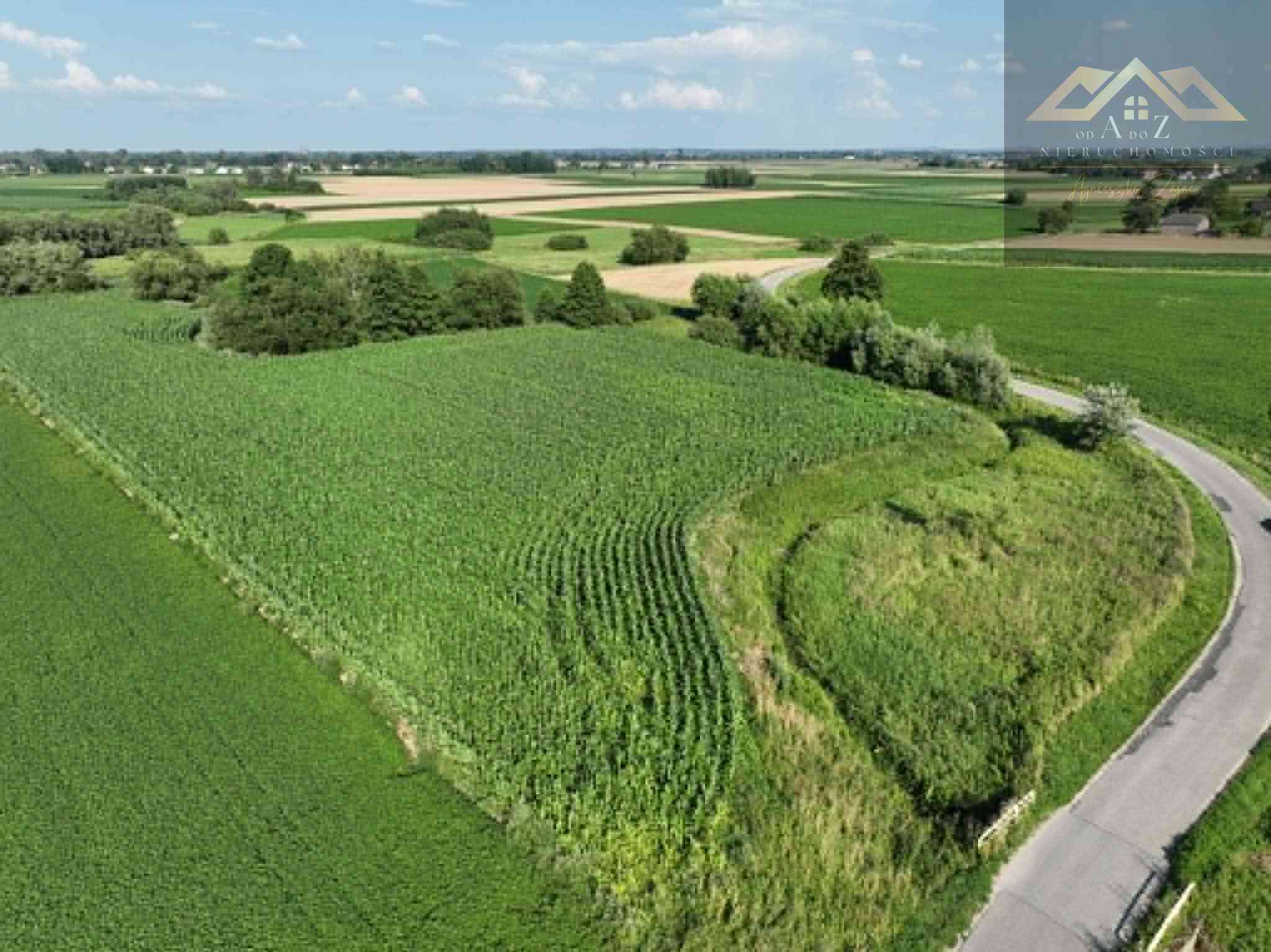 Działka rolna 80 arów w Miechowicach - zdjęcie 2