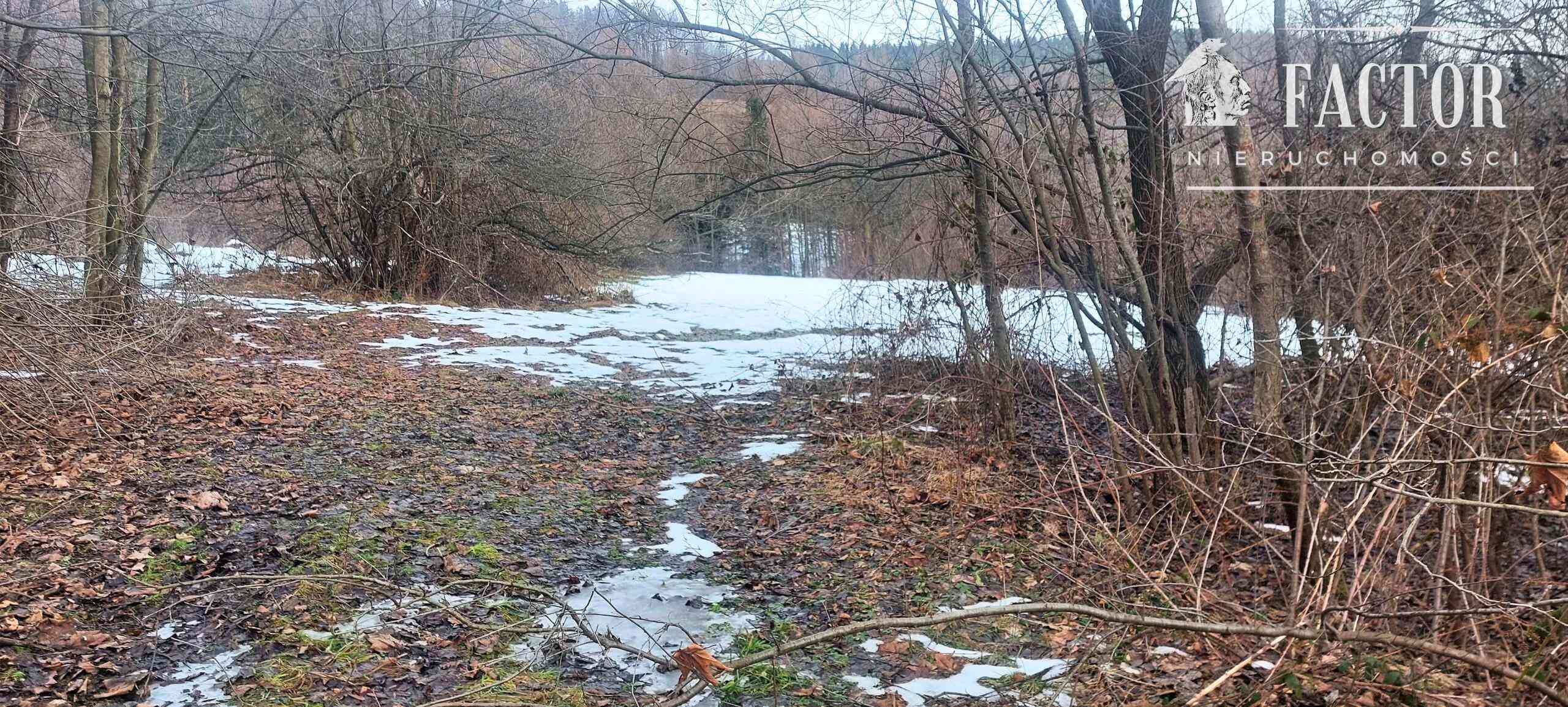 Siary działka budowlana 0,92 ha 1177S - zdjęcie 6