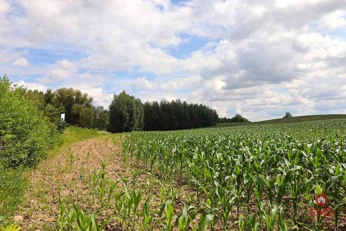 Działka budowlana na Mazurach Rożyńsk Wielki - zdjęcie 8