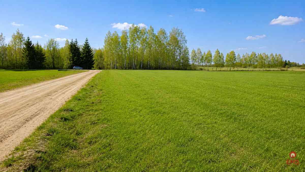Działka budowlana 2160 m2. Nowosiółki - zdjęcie 5