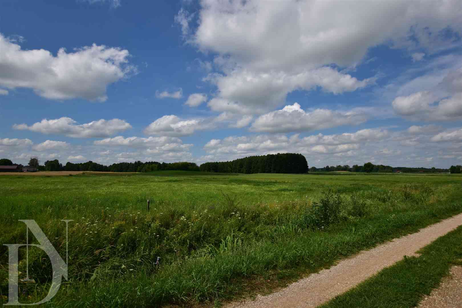 Działki 11095 m² koło Jeziora Dręstwo NOWA CENA!!! - zdjęcie 6