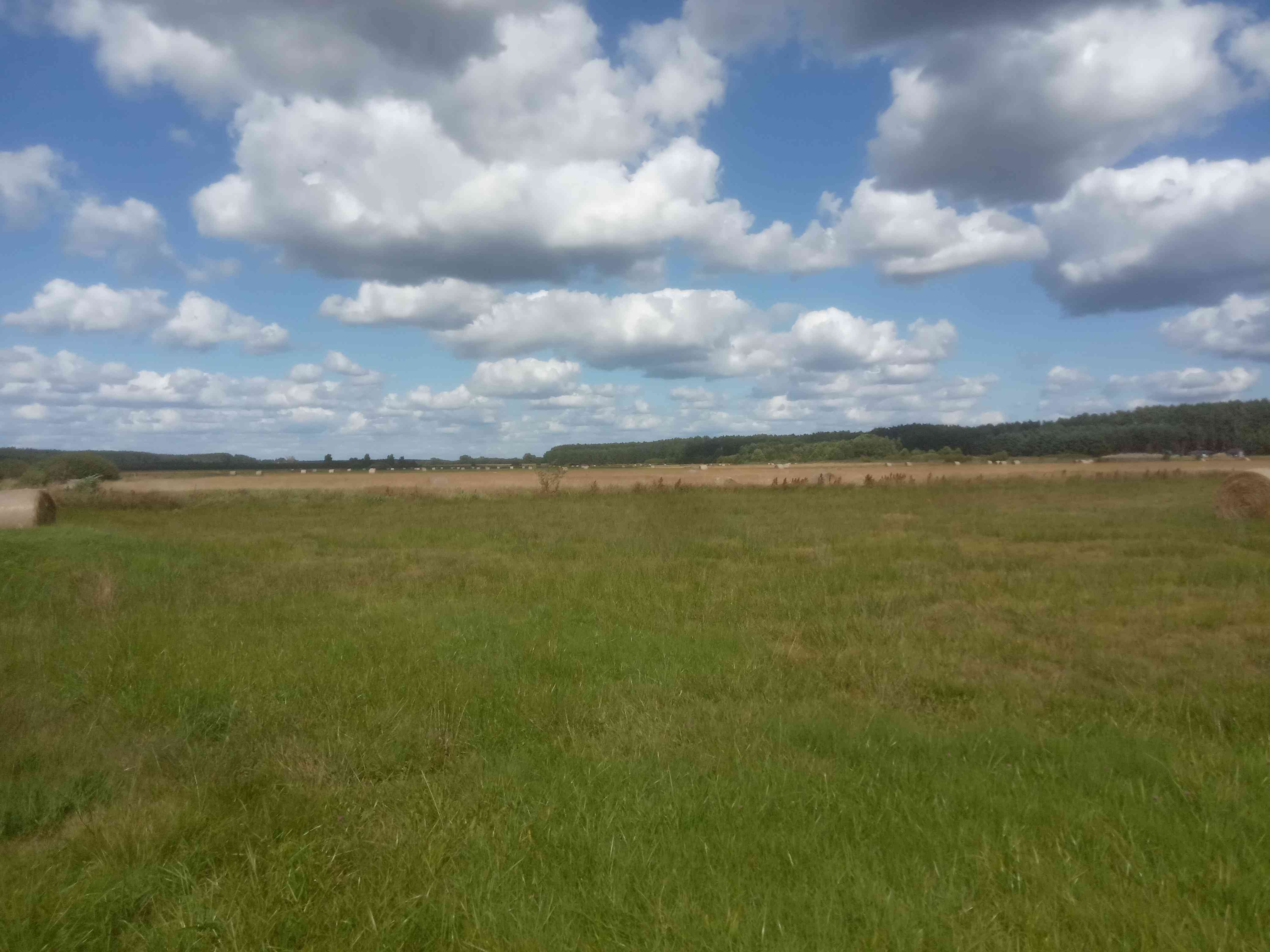 Sprzedam działkę rolną 2,08 ha – Kałek, woj. lubuskie – 95 000 zł - zdjęcie 4
