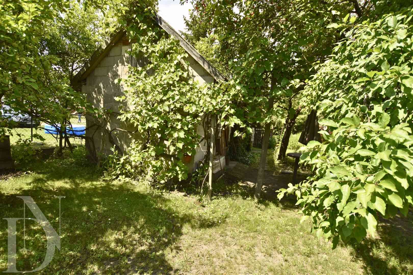 Klimatyczne siedlisko na Podlasiu Dubiny NOWA CENA - zdjęcie 18