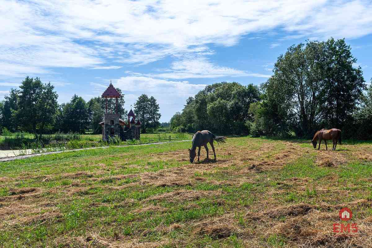 Posiadłość Szlachecka Zagroda - zdjęcie 17