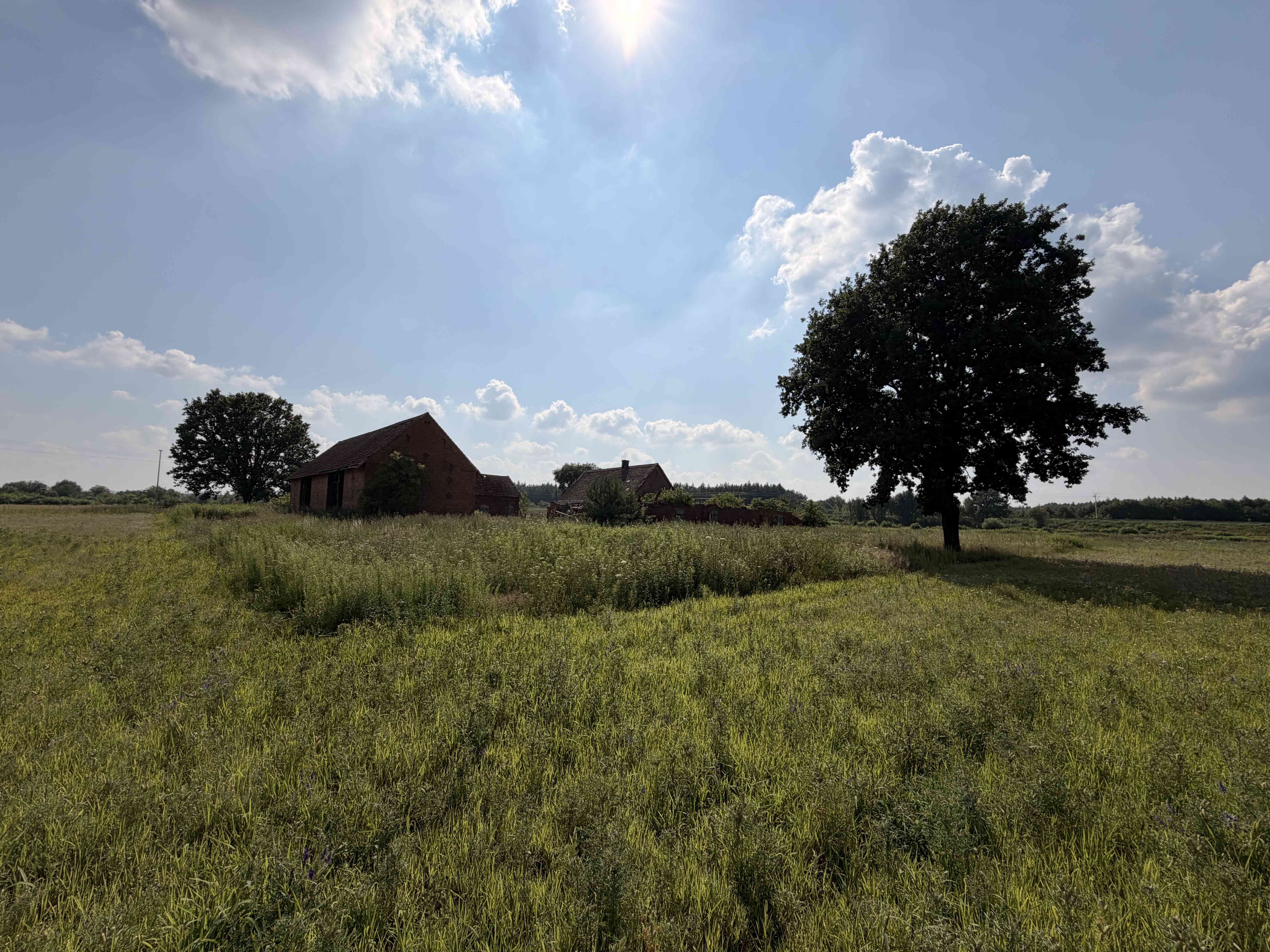 Siedlisko 5,17 ha z ceglaną stodołą | Pawłów, gm. Sośnie - zdjęcie 6