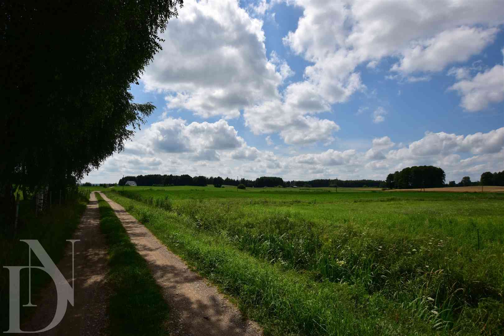 Działki 11095 m² koło Jeziora Dręstwo NOWA CENA!!! - zdjęcie 7