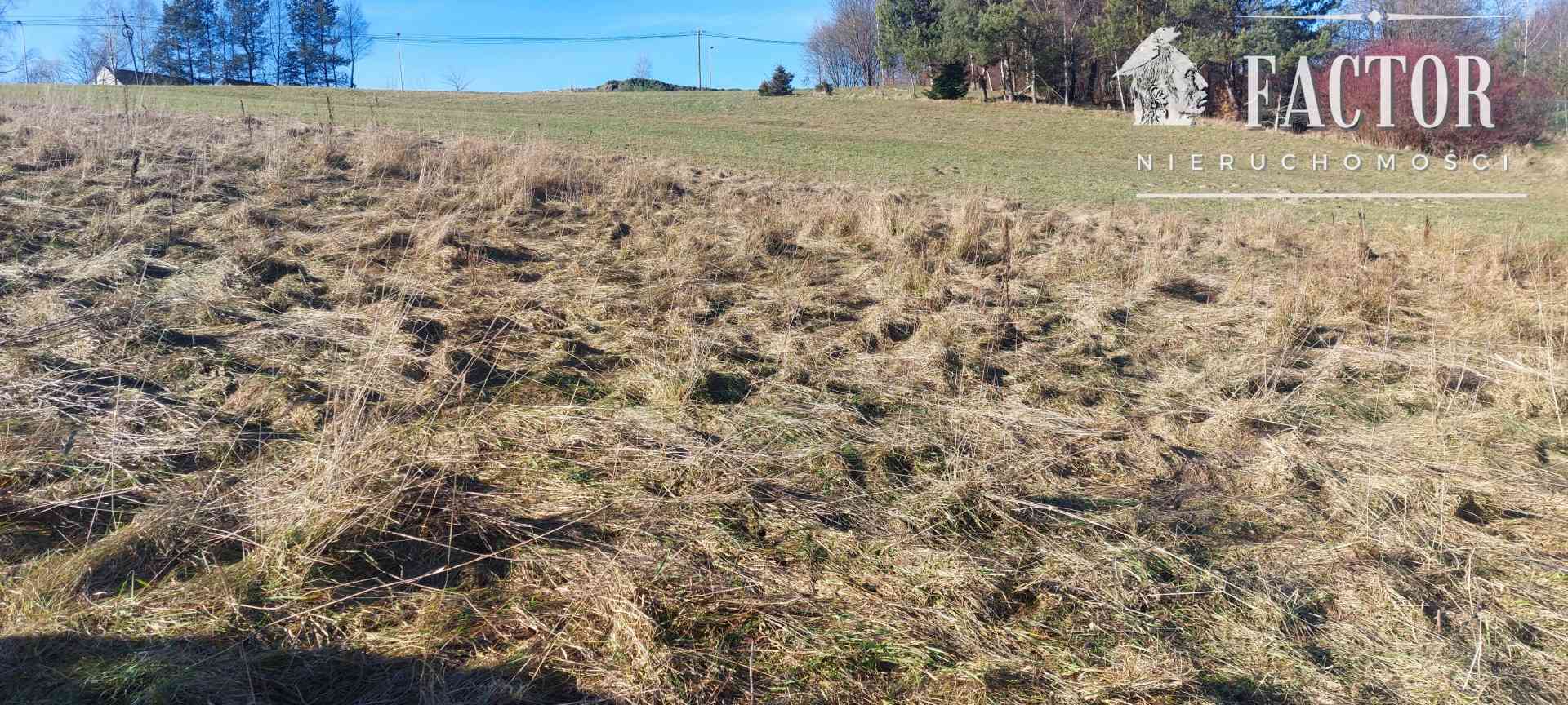 Działka na sprzedaż Klimkówka