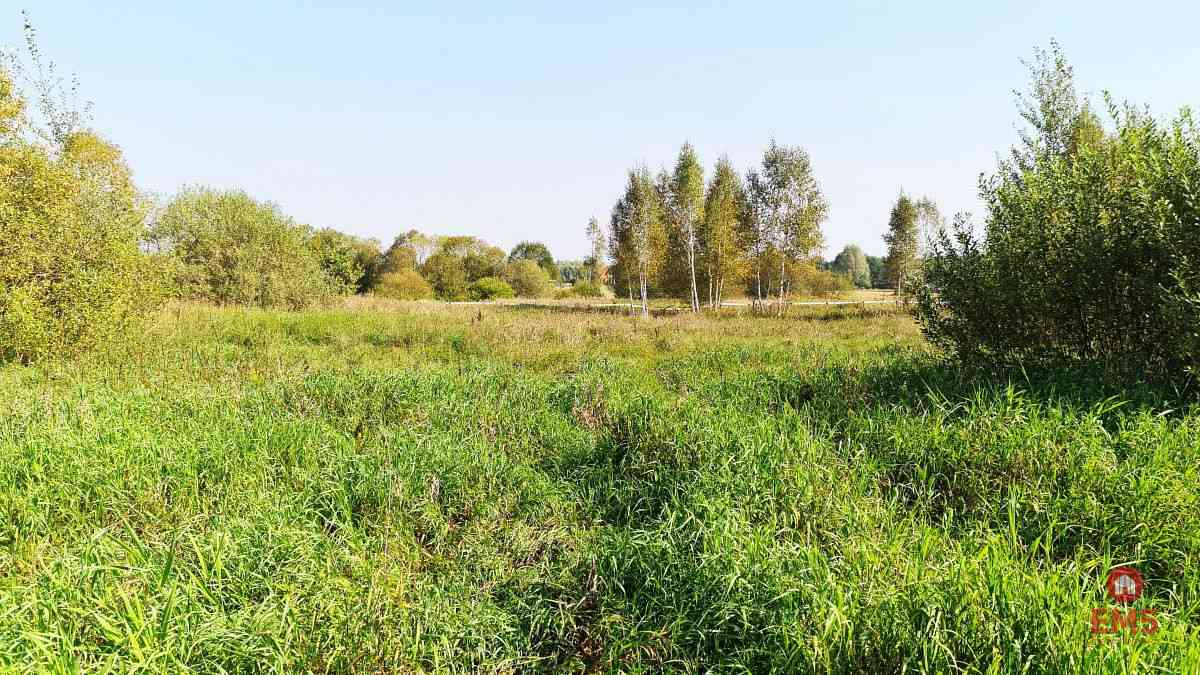 Ciasne. Działka budowlana 5100 m2. - zdjęcie 6
