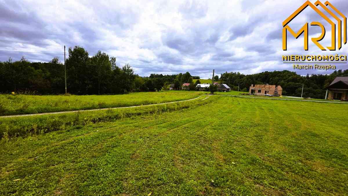 1 ha działki rolnej w gminie Szerzyny  - zdjęcie 10