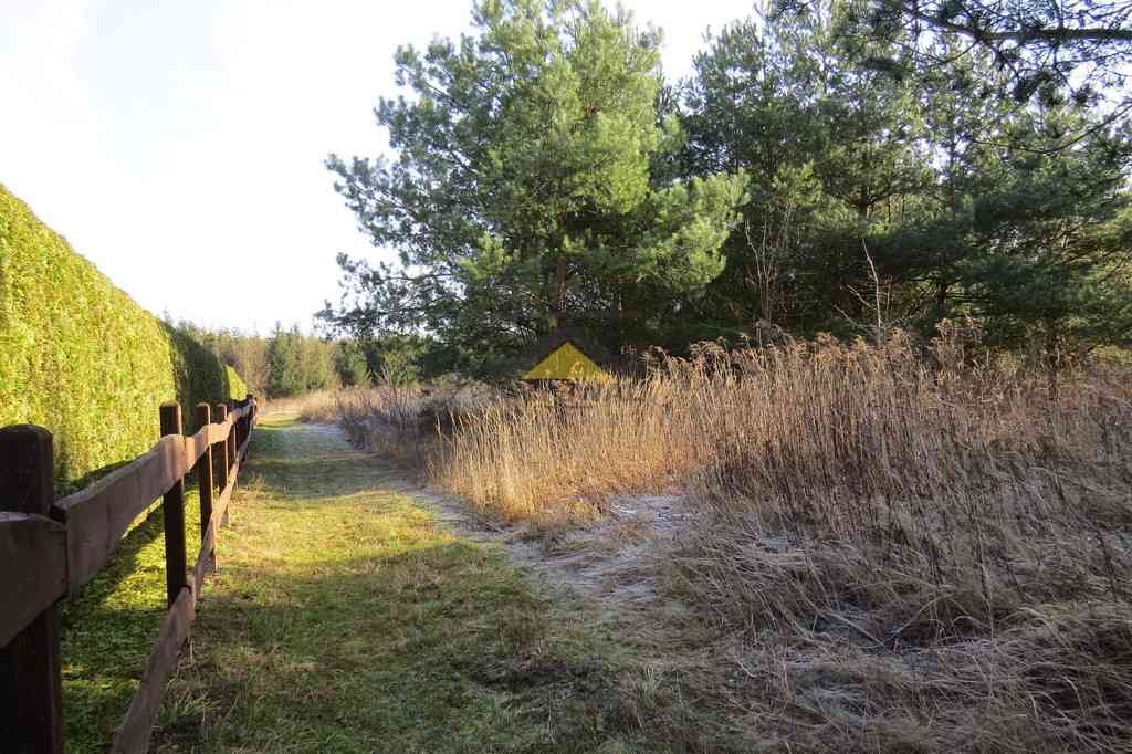 Działka pod hotel, restauracje, warsztat, usługi! - zdjęcie 19