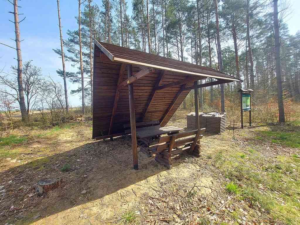 Działki na granicy Baczyna/Marwice miejscowy plan! - zdjęcie 19
