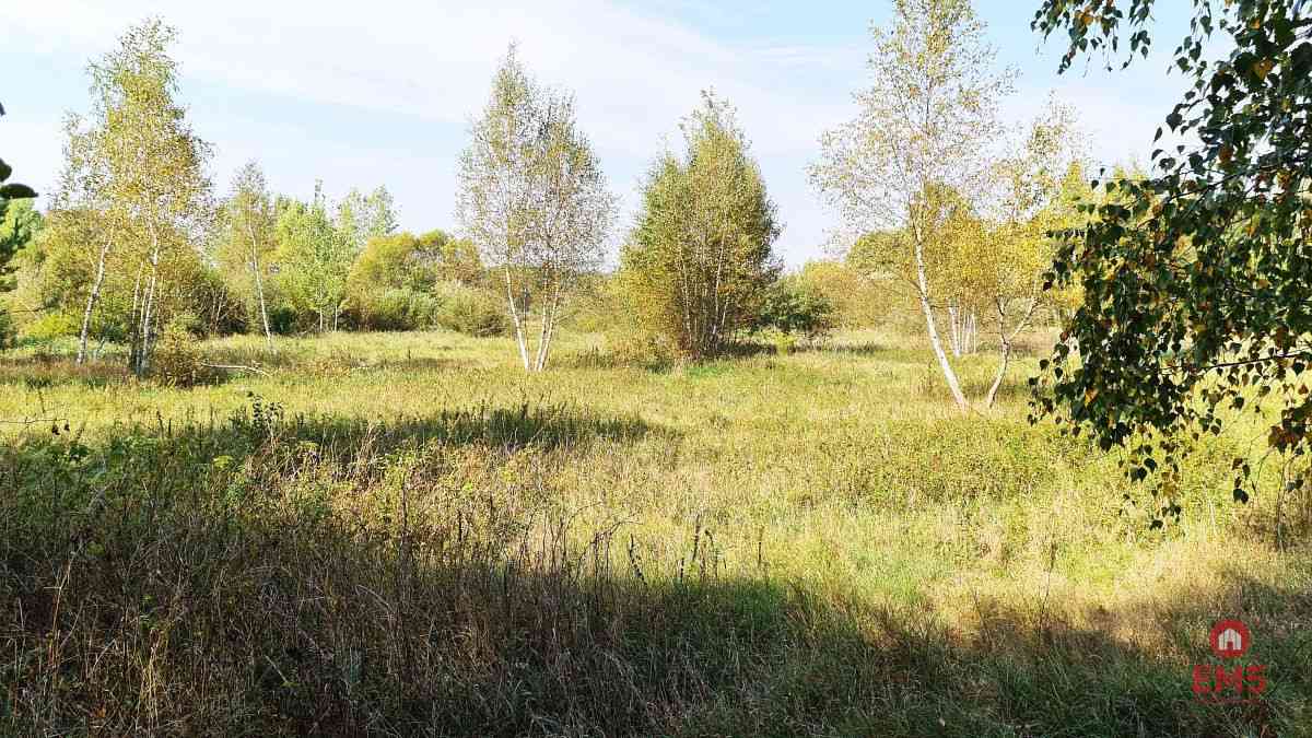 Ciasne. Działka budowlana 5100 m2. - zdjęcie 2