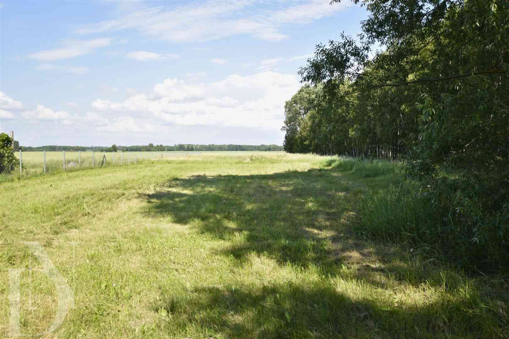 Siedlisko z dużą działką 5986 m² Czyże - zdjęcie 13