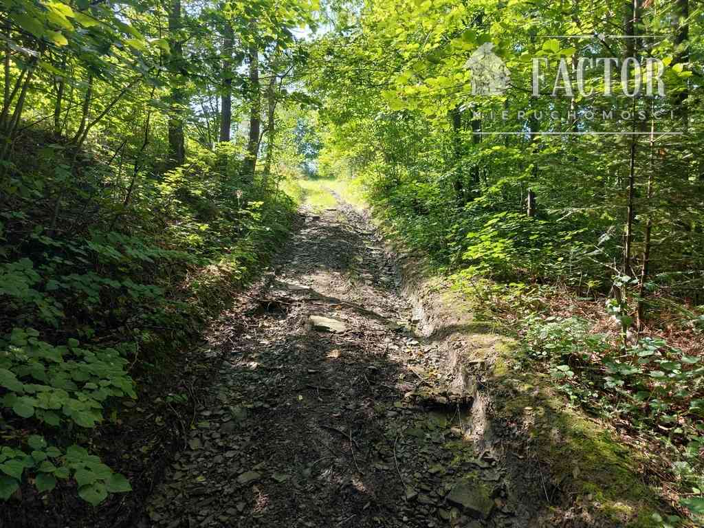 Kąclowa działka siedliskowa 0,6 ha 1103S - zdjęcie 2