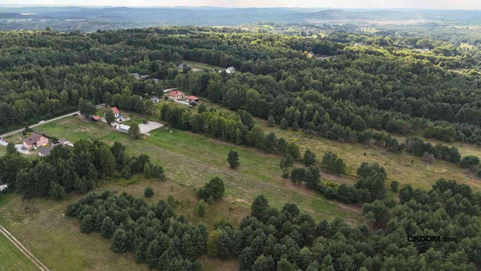 Działka na sprzedaż 910 m2 Gałęzice gm. Piekoszów - zdjęcie 8