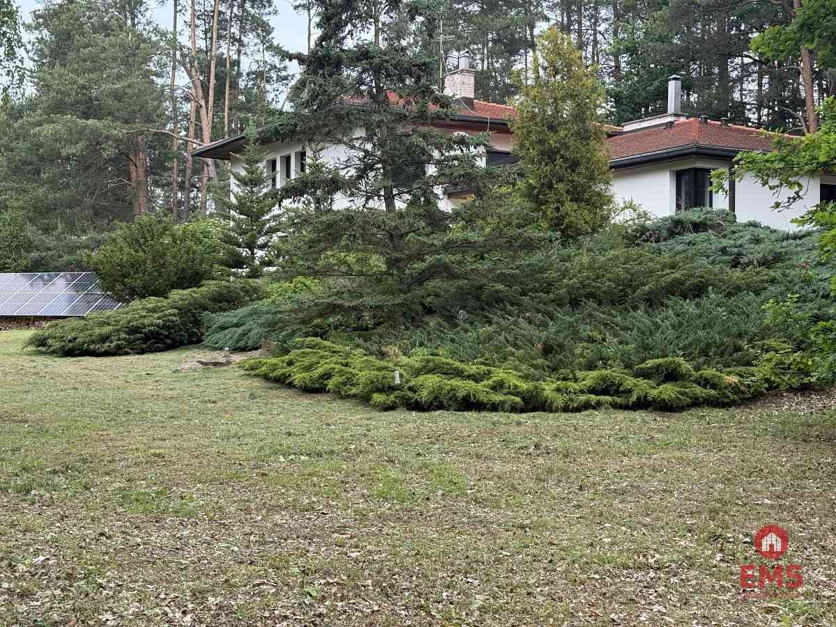 Dom w otulinie lasu blisko miasta - zdjęcie 4