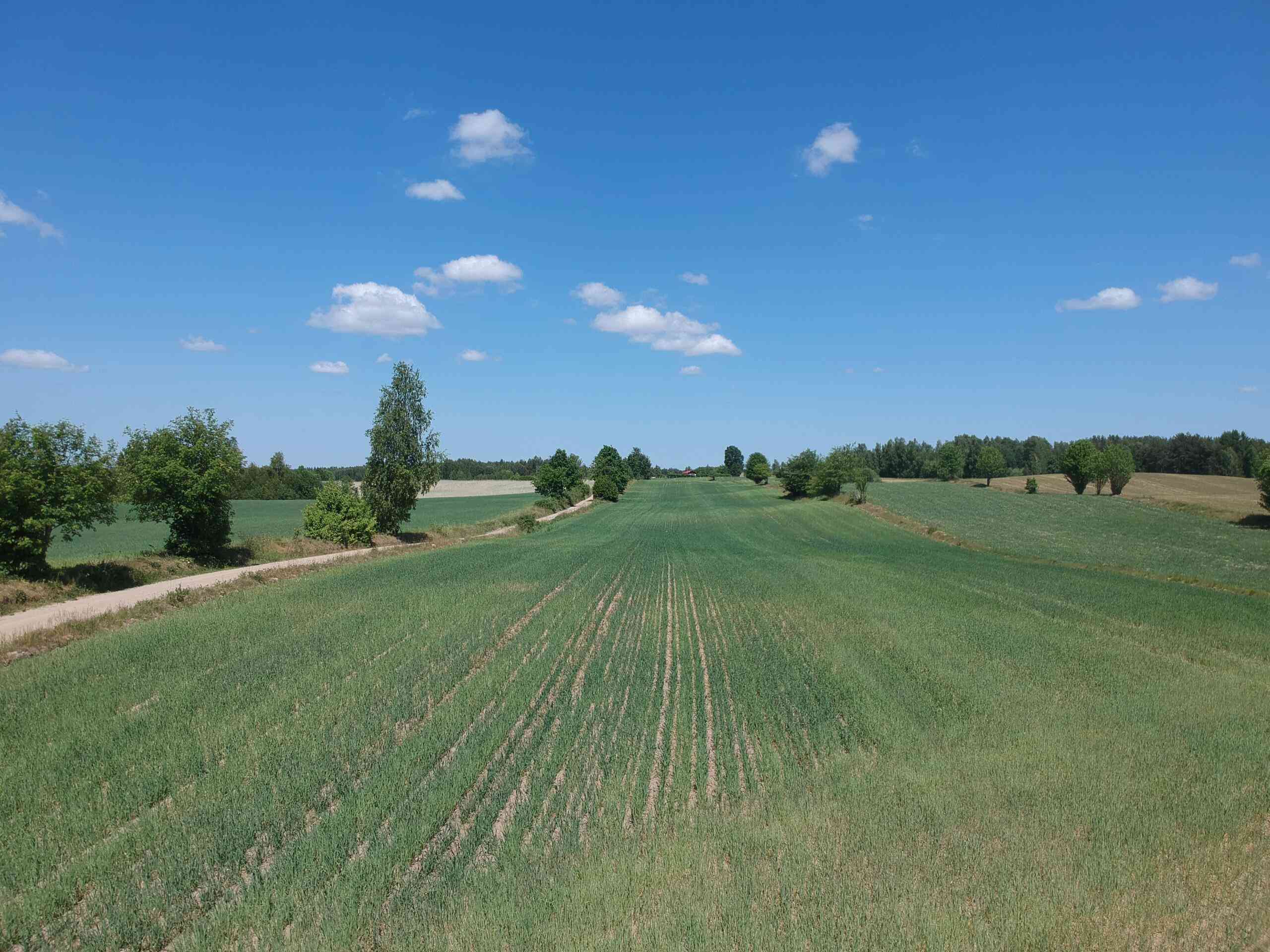 Piękne siedlisko Skrzydłowo Kaszuby