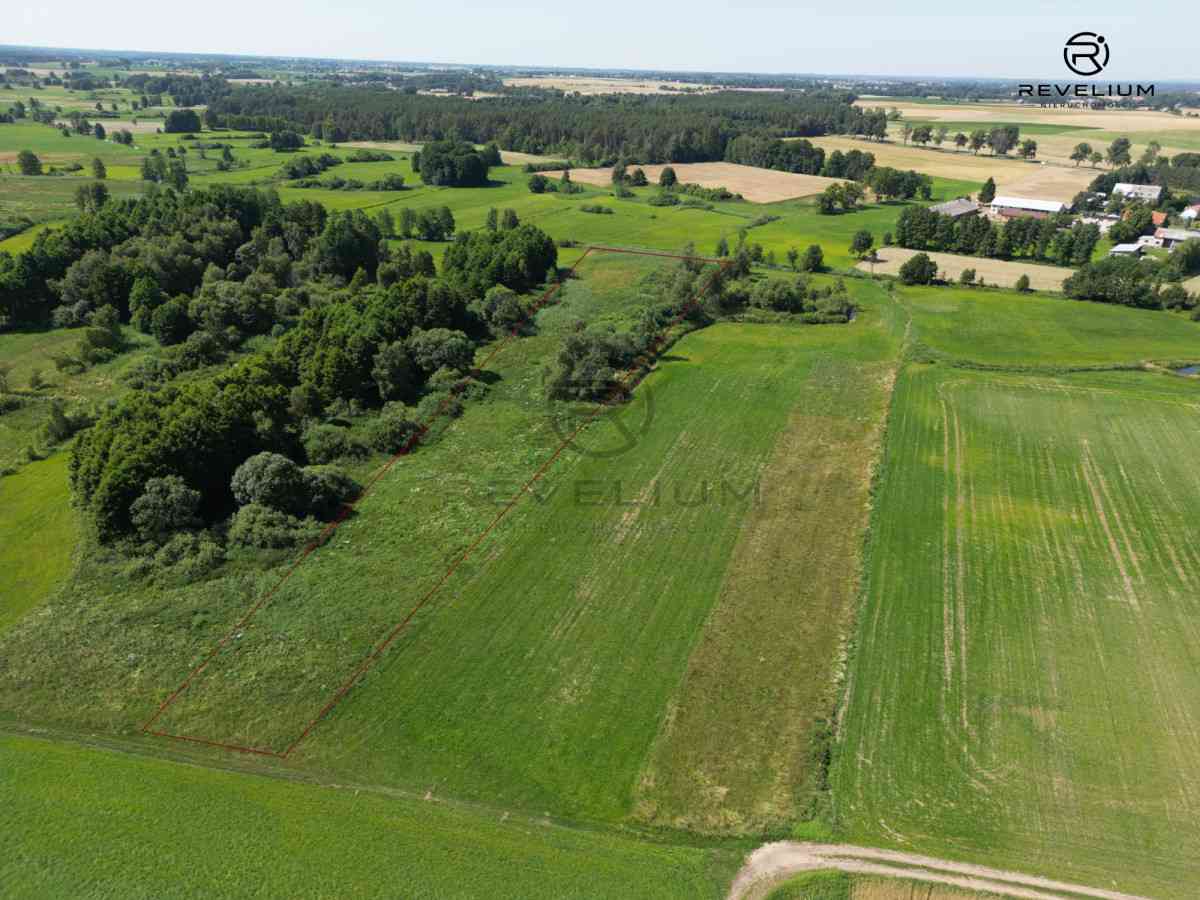 DZIAŁKA ROLNA|NAD RZEKĄ WIERZYCA|LIPY
