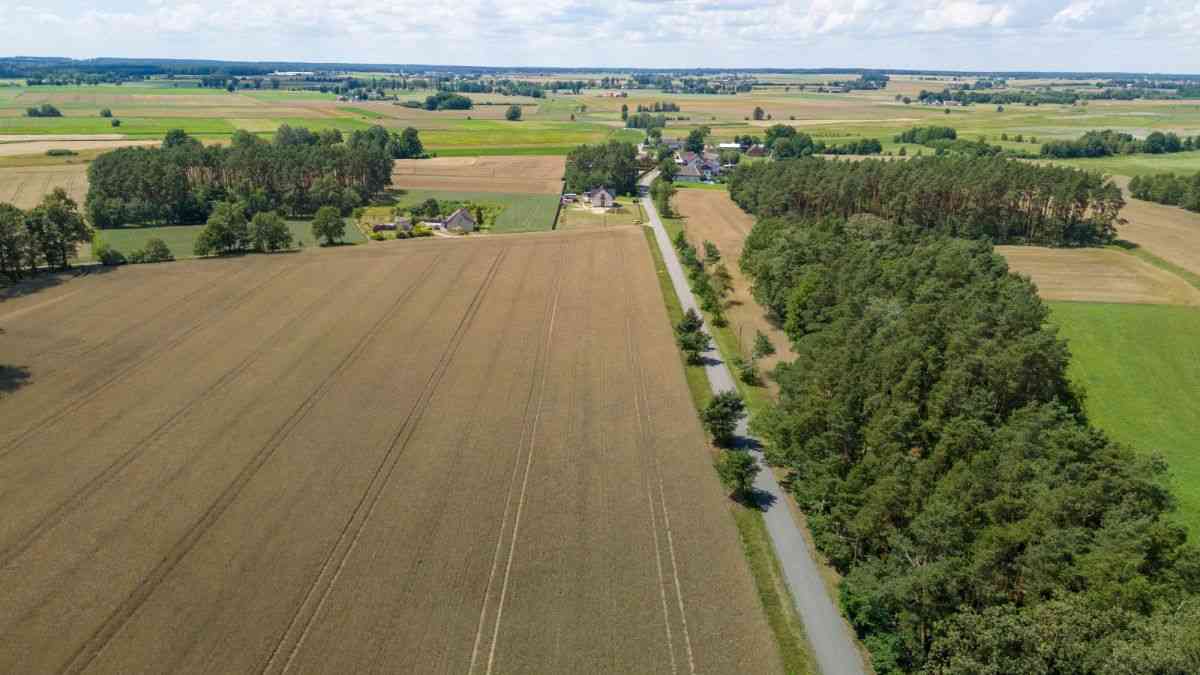 Działka budowlana Gaz woda kanalizacja blisko las - zdjęcie 13