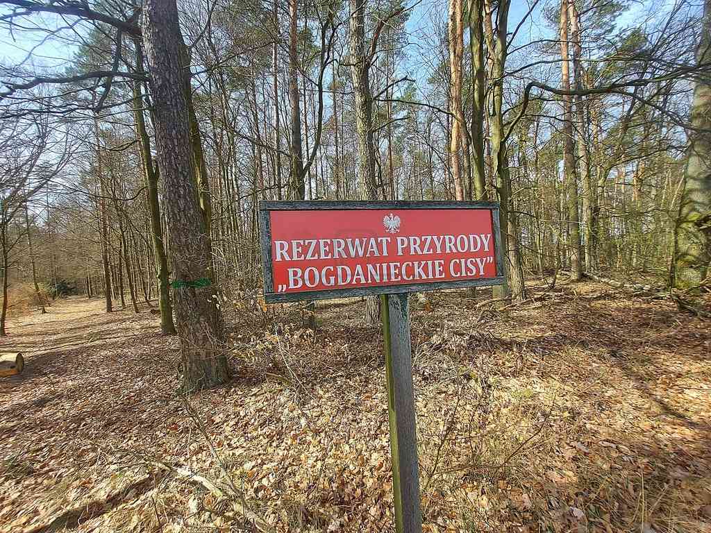 Działki na granicy Baczyna/Marwice miejscowy plan! - zdjęcie 18