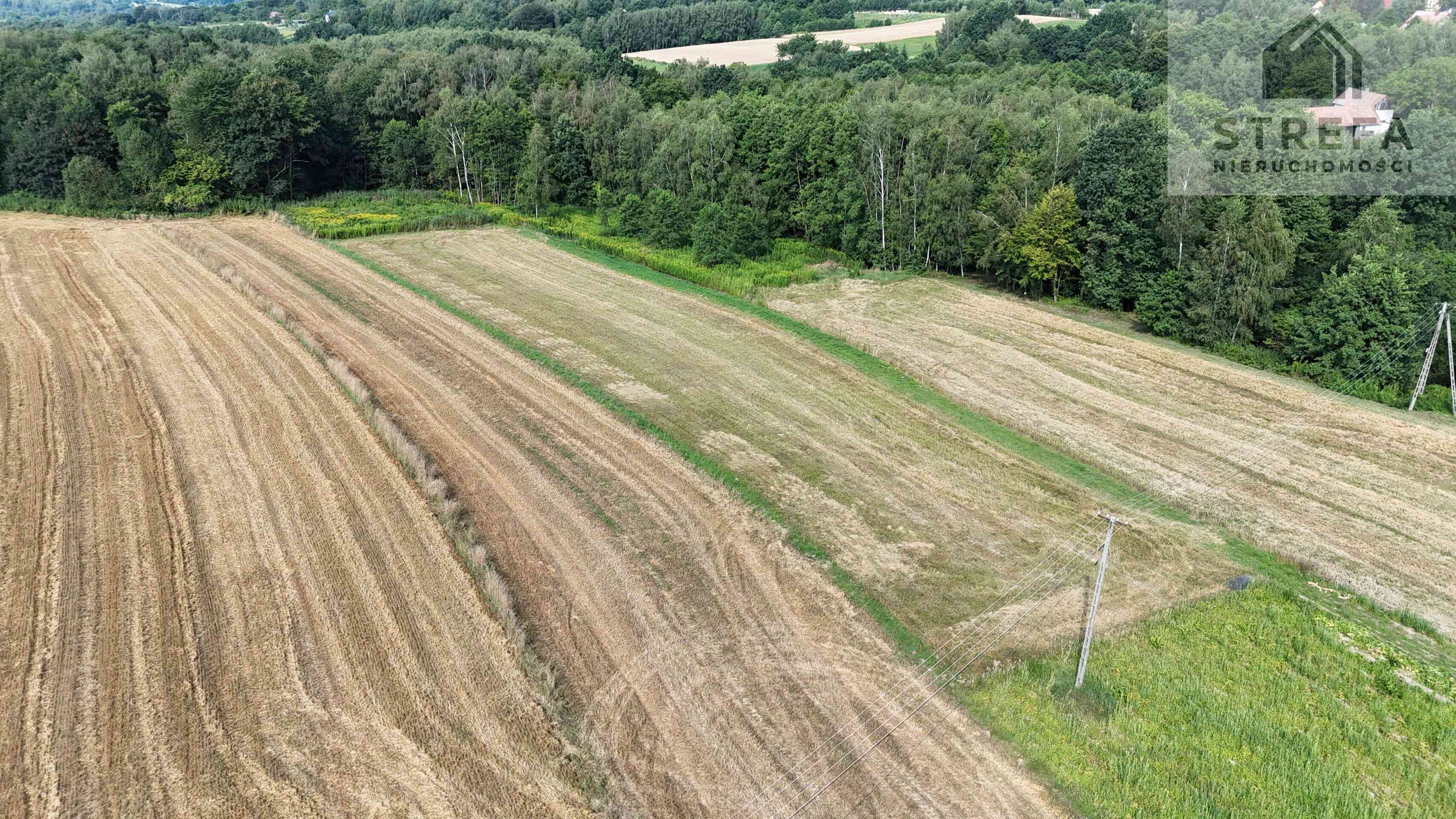 Duża działka budowlano-zagrodowa (37,75 ara) – Poręba Radlna k. Tarnowa - zdjęcie 2