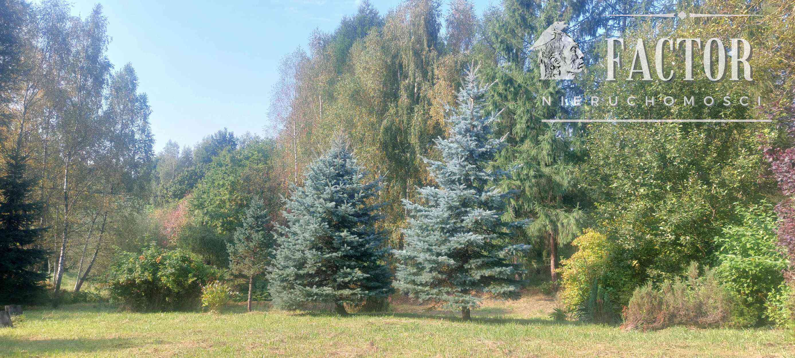 Gorlice działka budowlana 24 a 1157S - zdjęcie 7