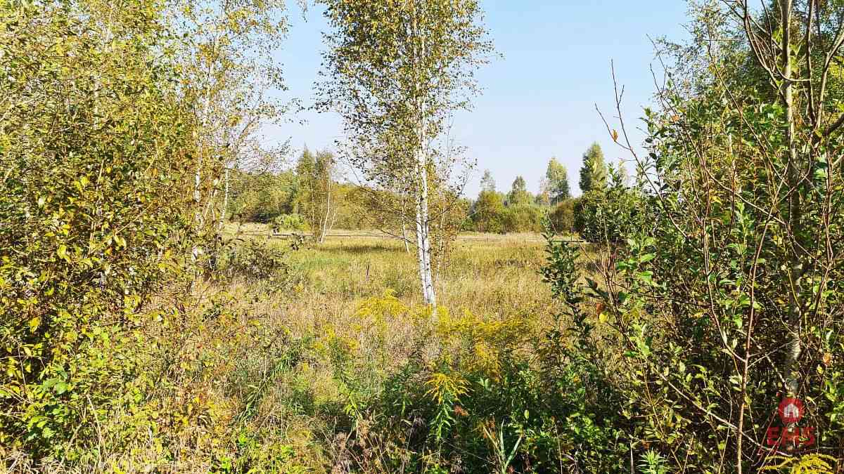 Ciasne. Działka budowlana 5100 m2. - zdjęcie 7