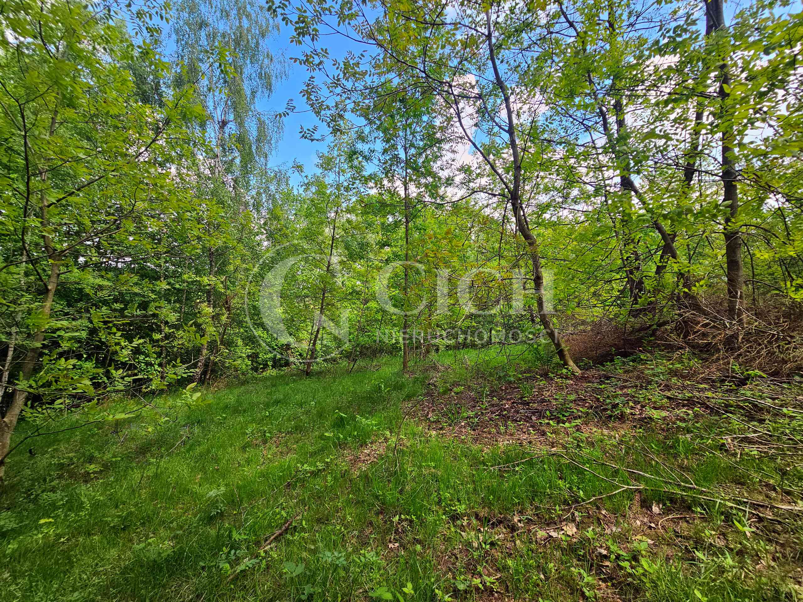 Działka budowlano-leśna 0,8445 ha | Łękawka gm. Tarnów - zdjęcie 15