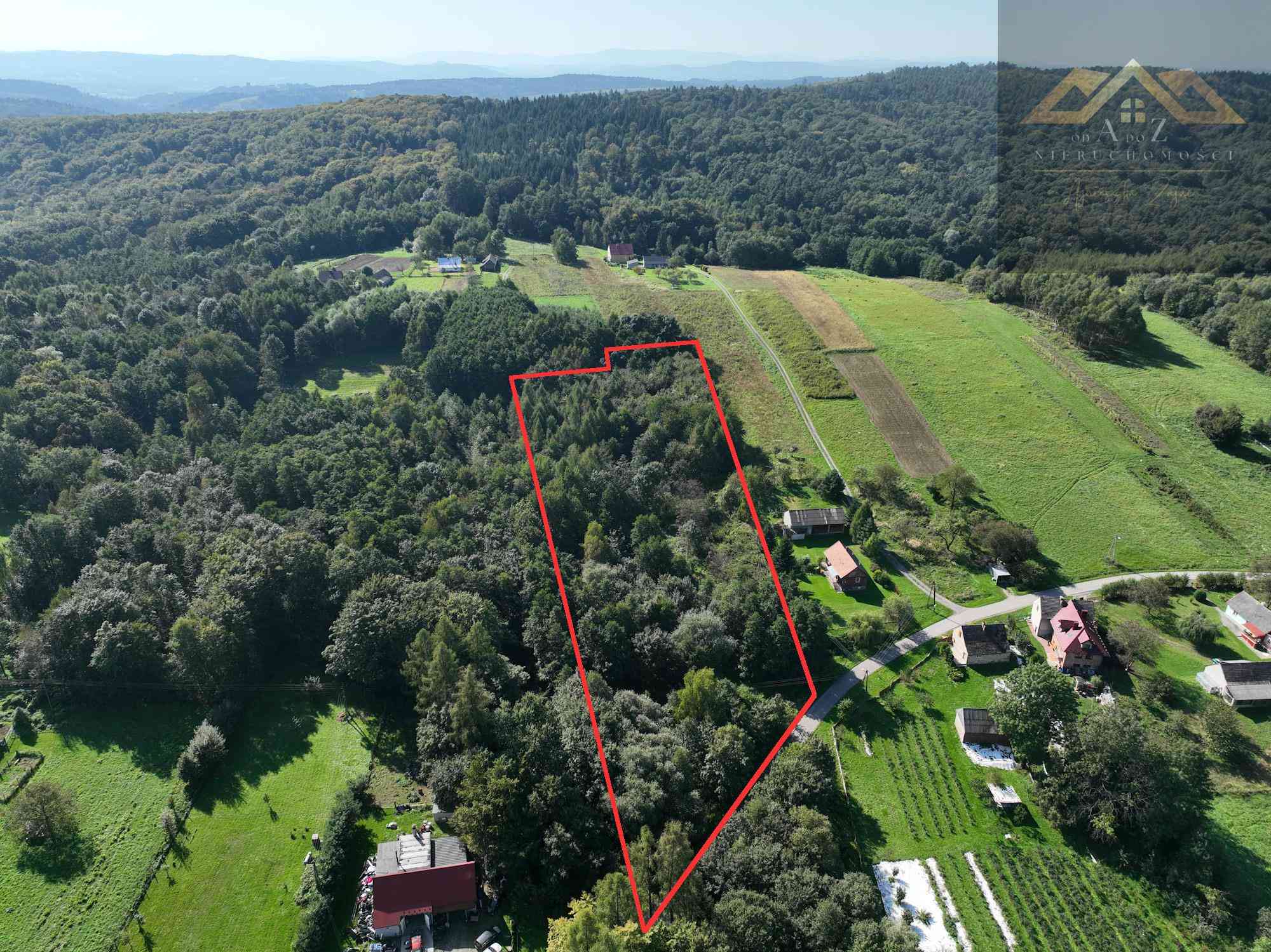 Działka z prywatnym lasem | WZ | 1,34 ha l Okazja! - zdjęcie 5