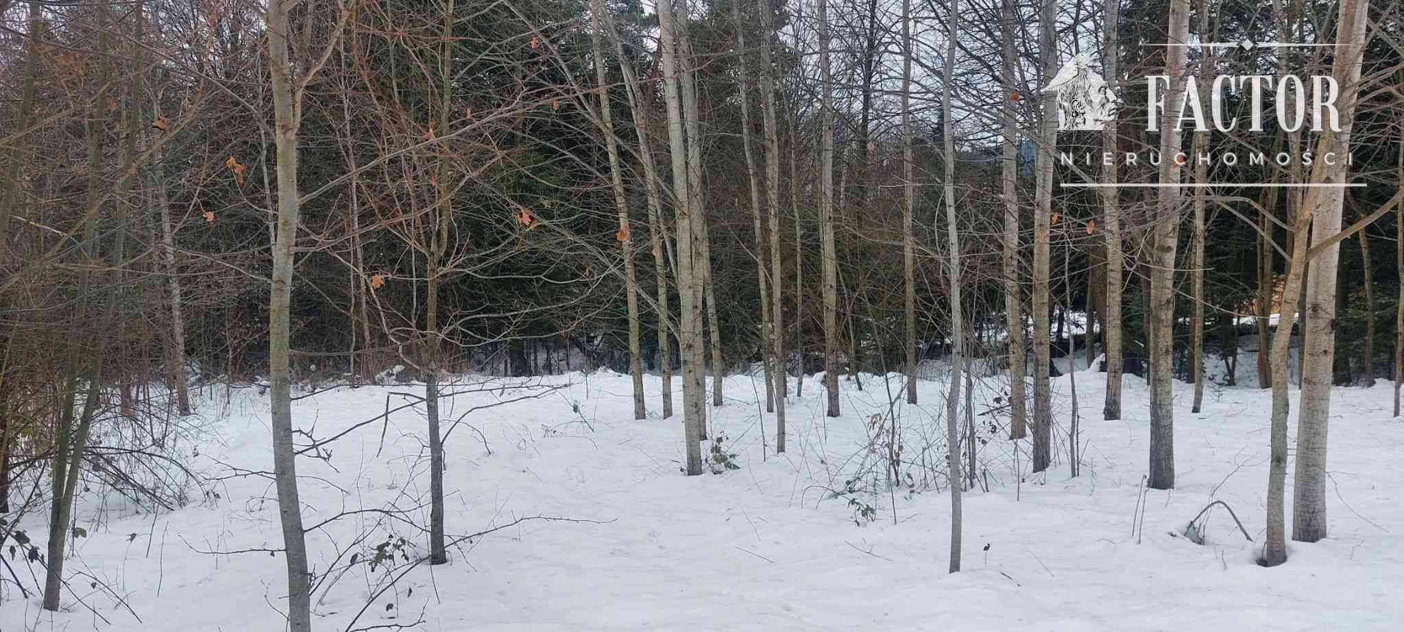 Działka na sprzedaż, Biała Niżna