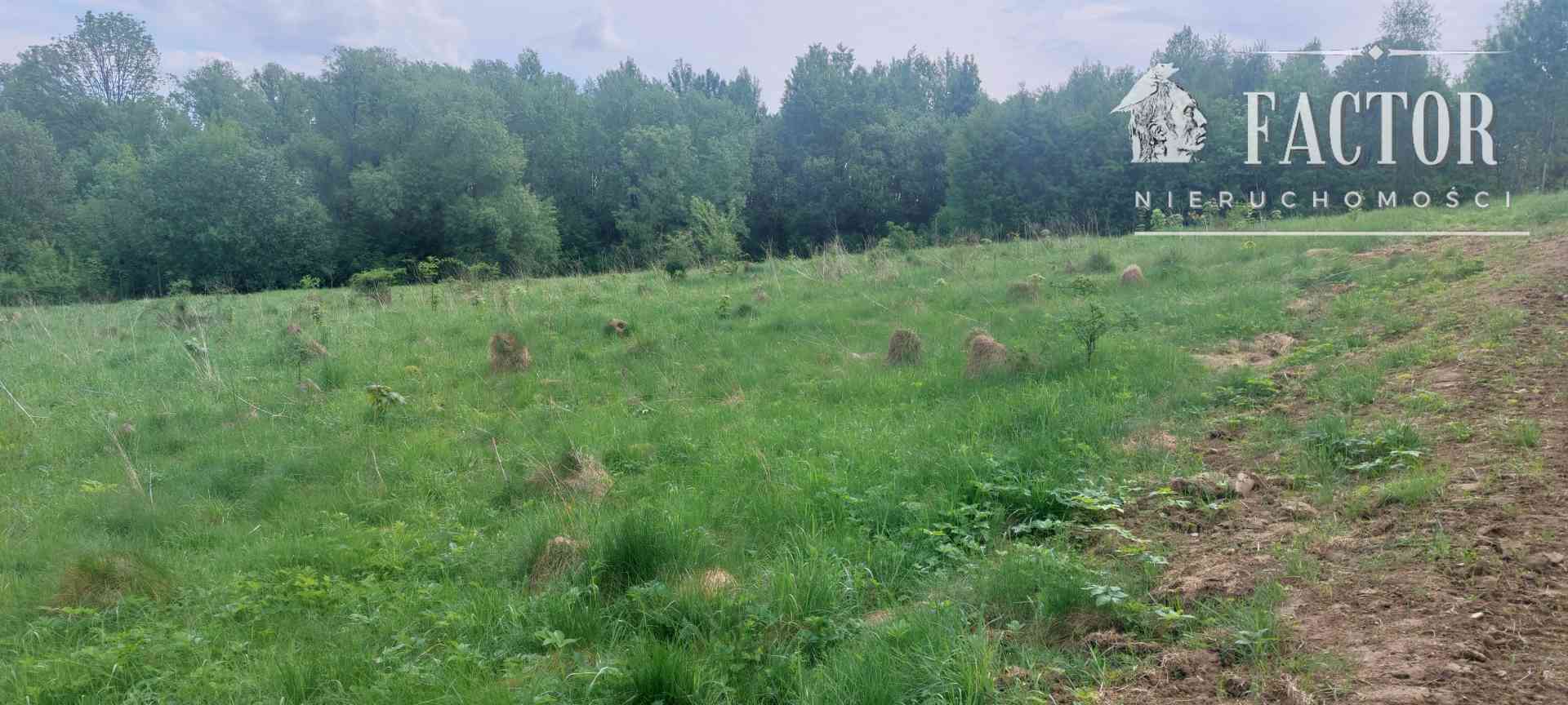 Siary działka rolna 30 a 1149S