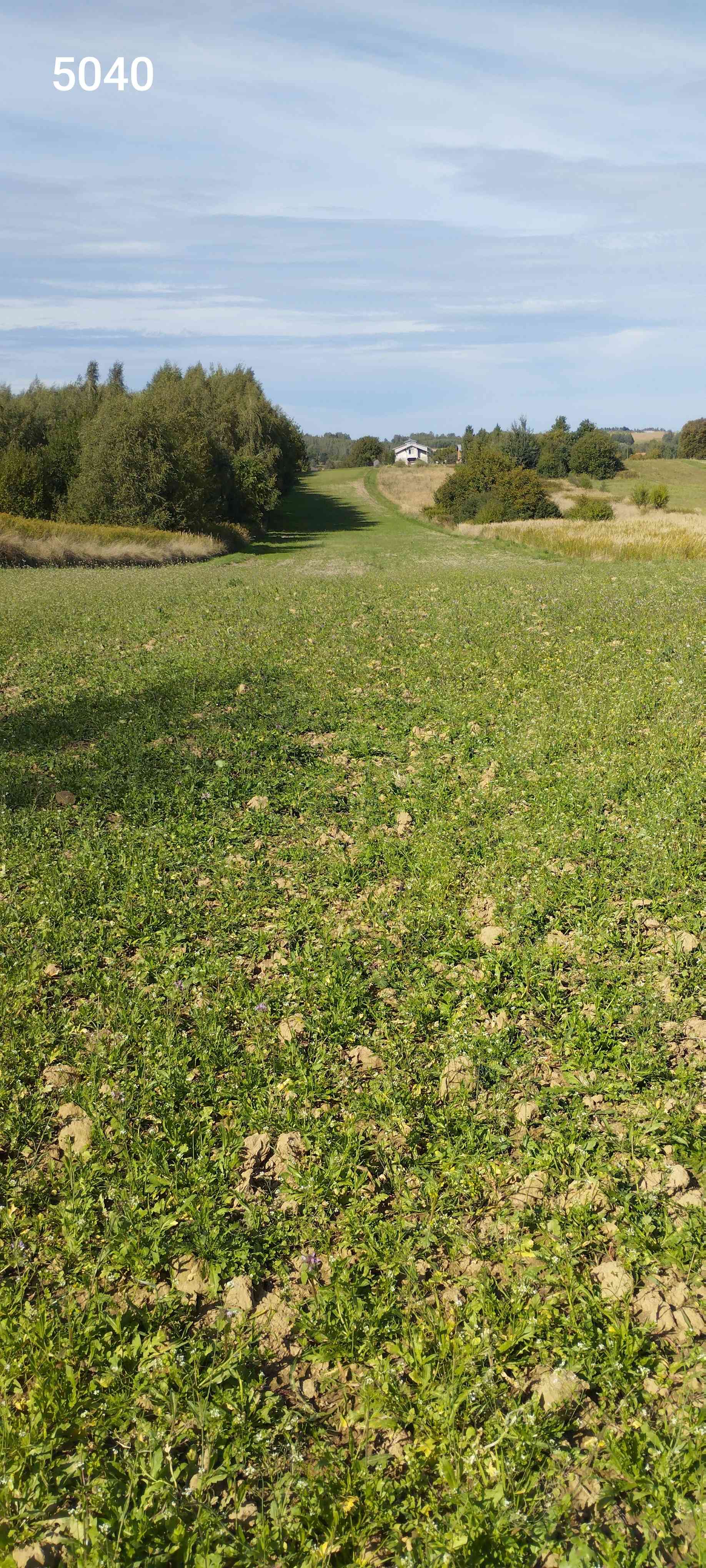 2 działki 1,47ha łącznie na obrzeżach Rzeszowa - zdjęcie 8
