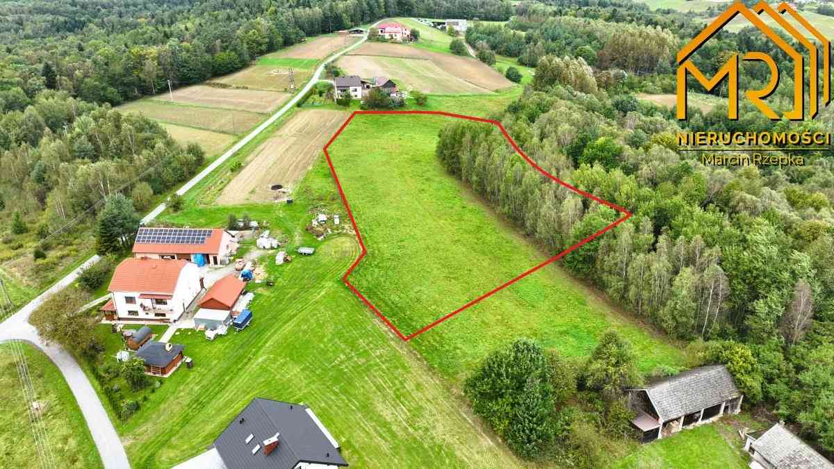 1 ha działki rolnej w gminie Szerzyny  - zdjęcie 12