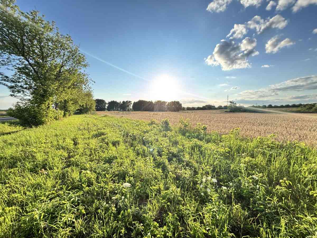 Dopasuj powierzchnię do potrzeb | Od 812m² do 7155 - zdjęcie 13