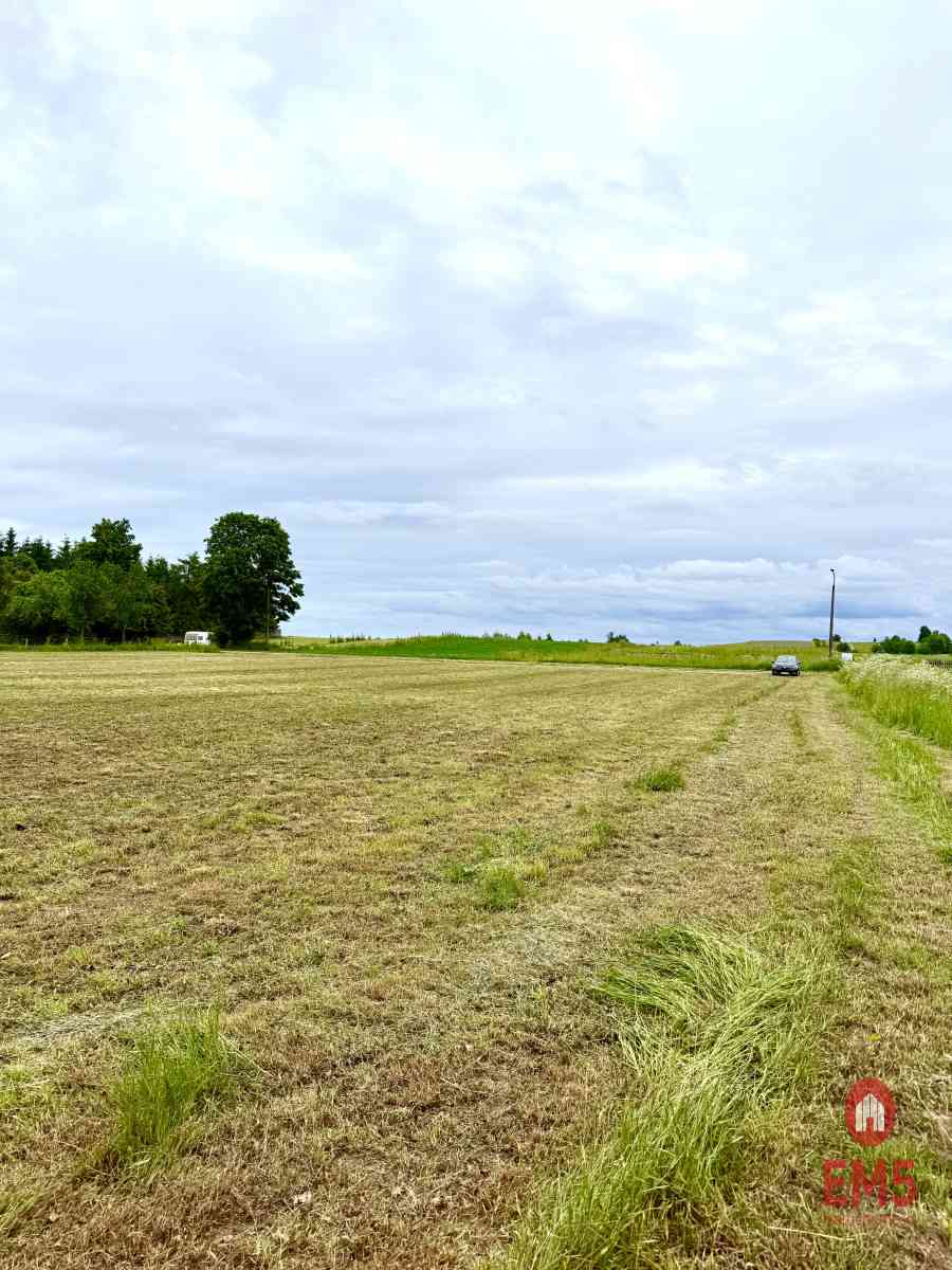 Twoja prywatna linia brzegowa nad Jeziorem Hańcza - zdjęcie 3