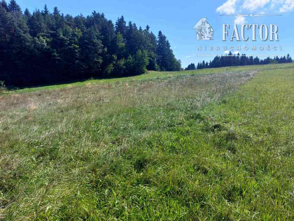 Kąclowa działka siedliskowa 0,6 ha 1103S