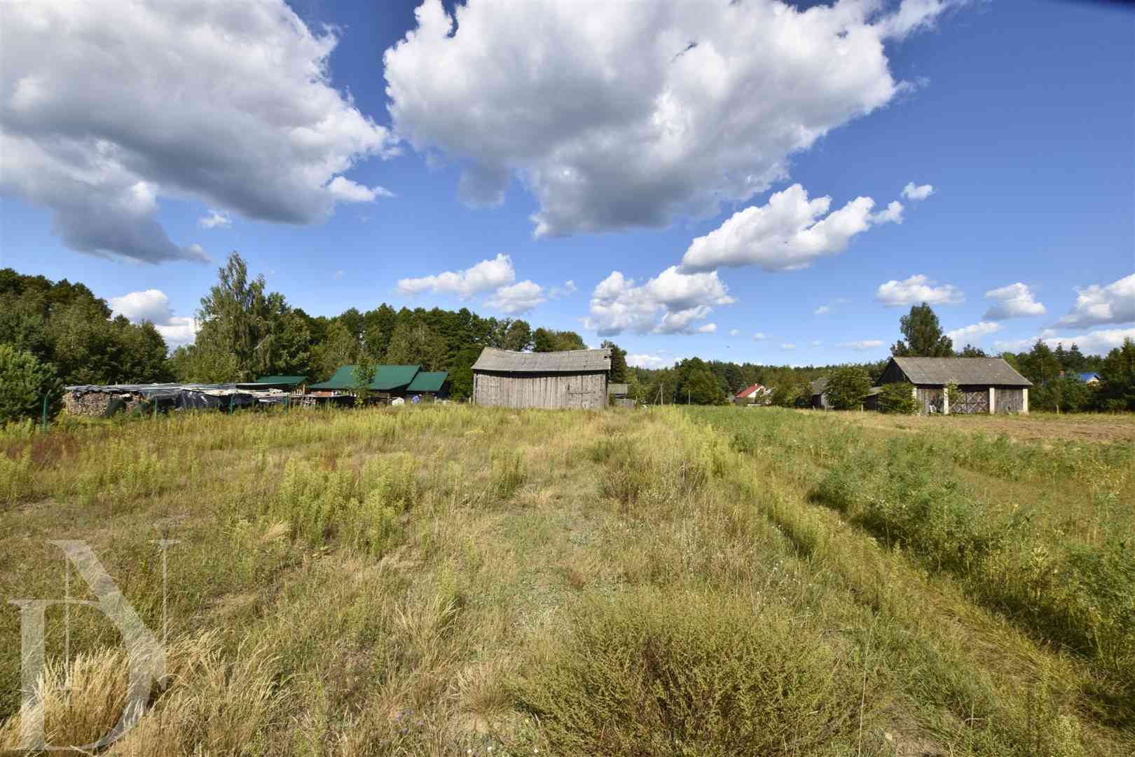 Dom 70 m² + 3205 m² działki w pobliżu rzeki Nurzec - zdjęcie 19