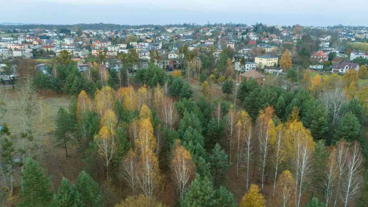 Działka budowlana Koszęcin ul. Słowików 1099m2 - zdjęcie 25