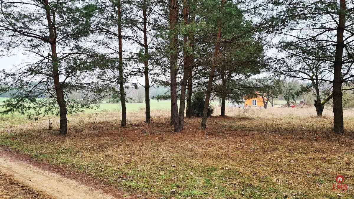 Działka 1900 m2. Pieńki - zdjęcie 7
