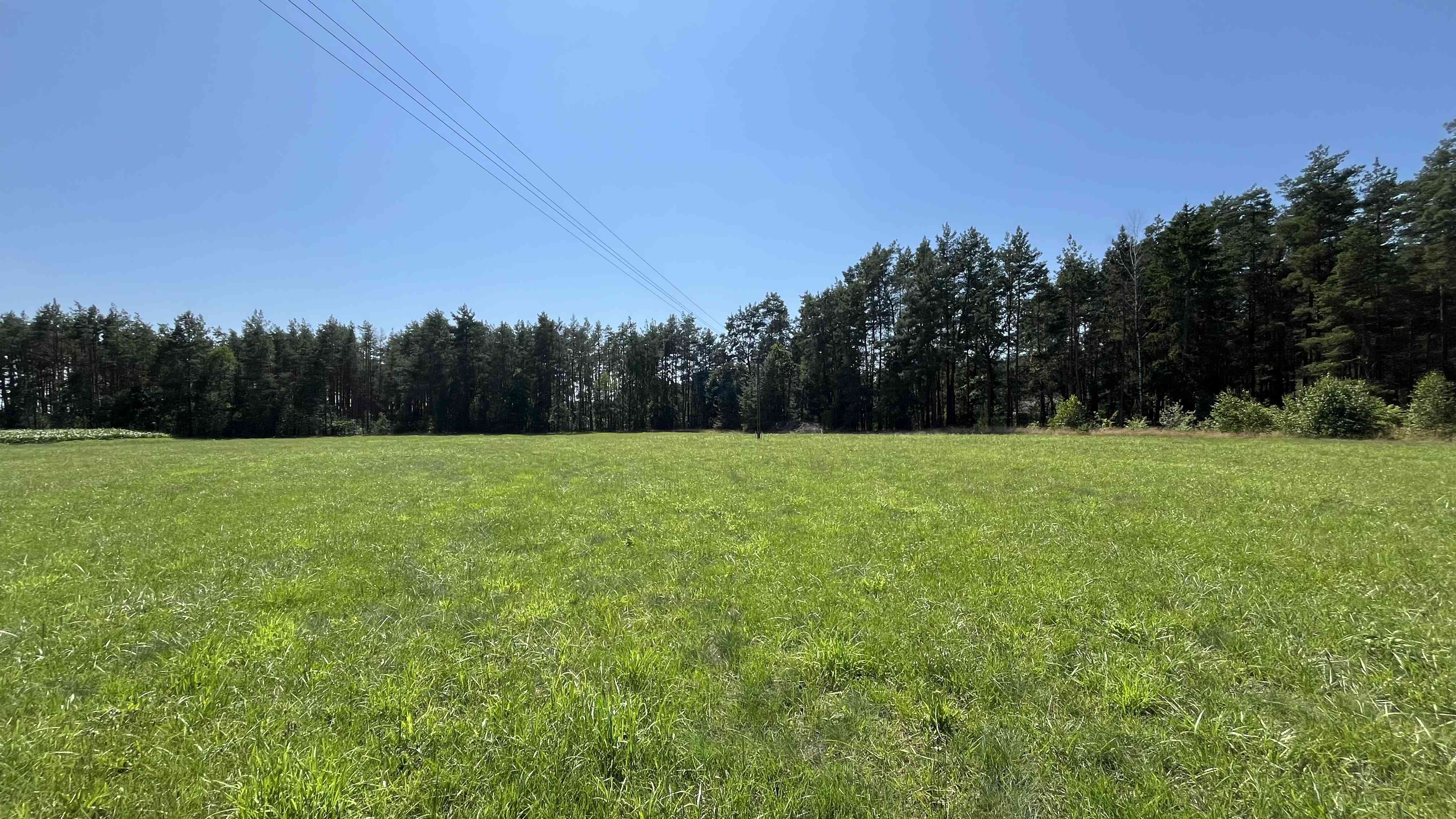 Działki budowlane na sprzedaż - Kadzidło (las, cisza i natura)