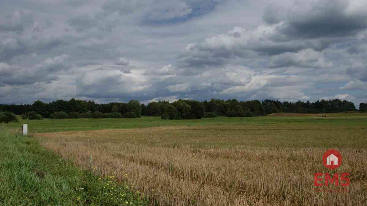 Działka w otulinie Puszczy Knyszyńskiej z WZ - zdjęcie 4