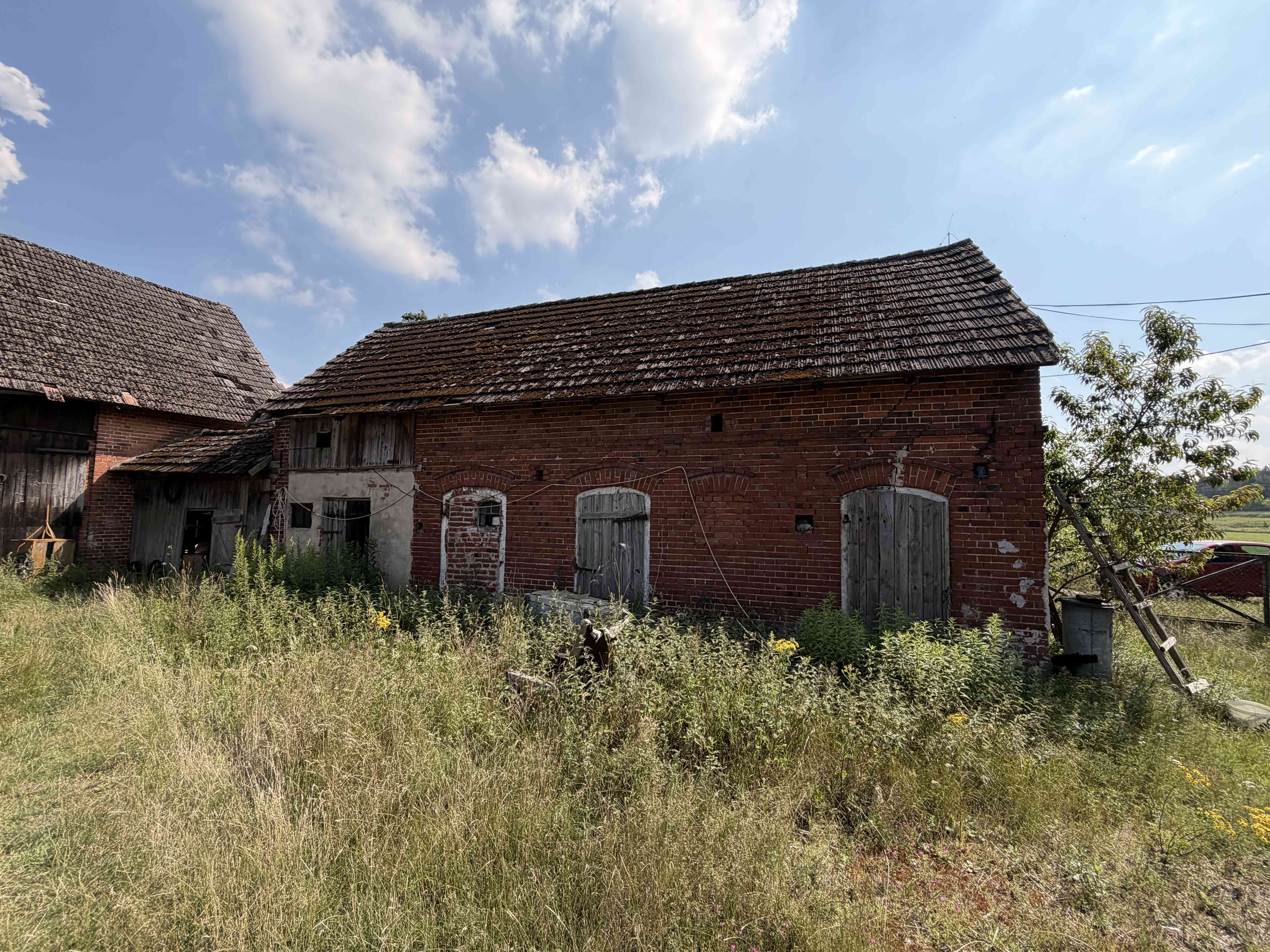 Siedlisko 5,17 ha z ceglaną stodołą | Pawłów, gm. Sośnie - zdjęcie 3