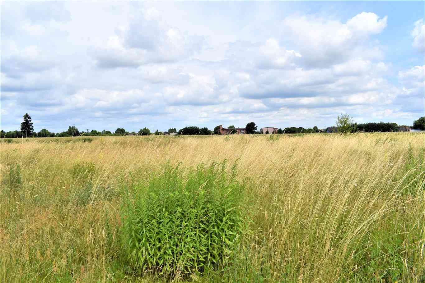Działki budowlane w Przyrowie - zdjęcie 2