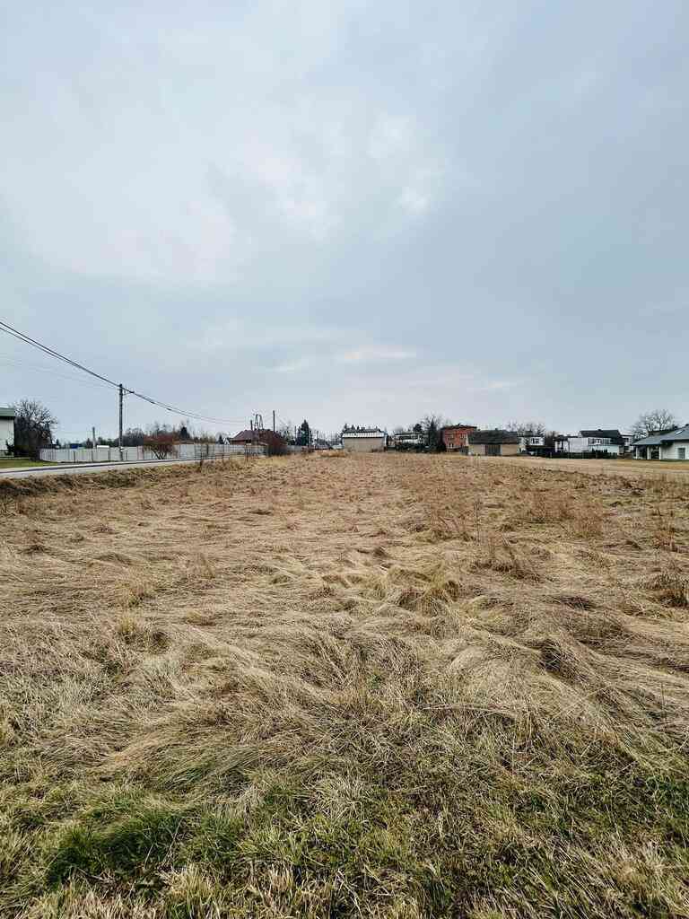 Kochanowice, ul. Brzozowa | Działki budowlane - zdjęcie 5