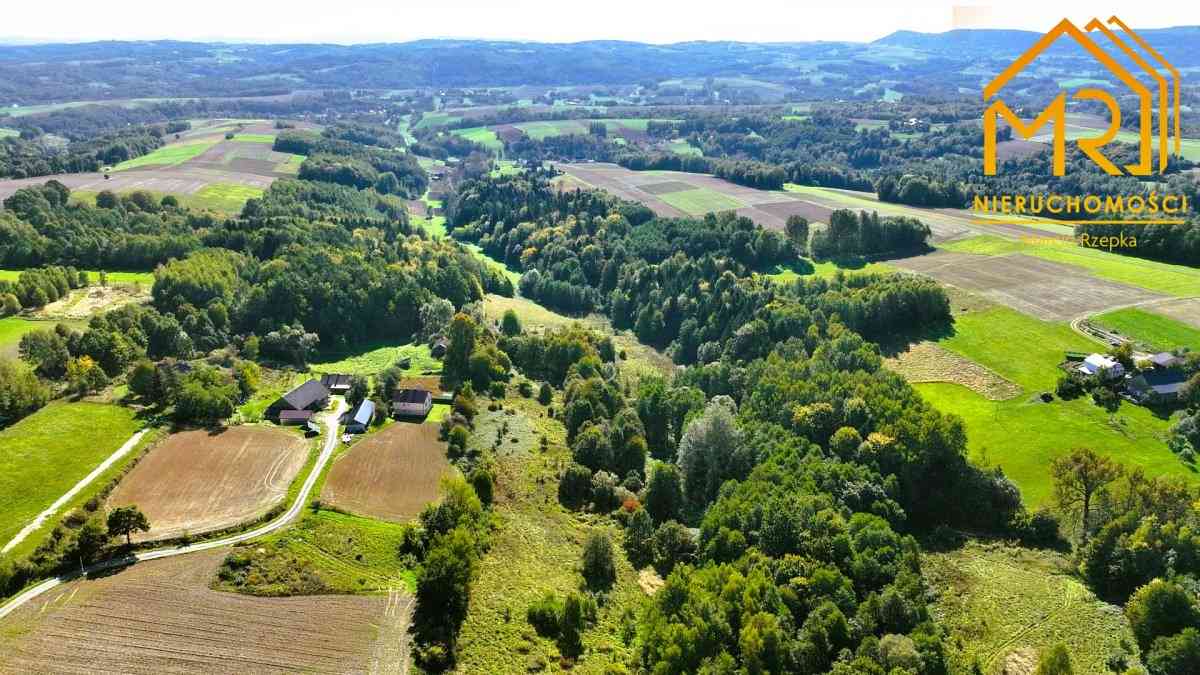 Działka WZ 12,55 ar – Brzeziny, gm. Wielopole Skrz - zdjęcie 5