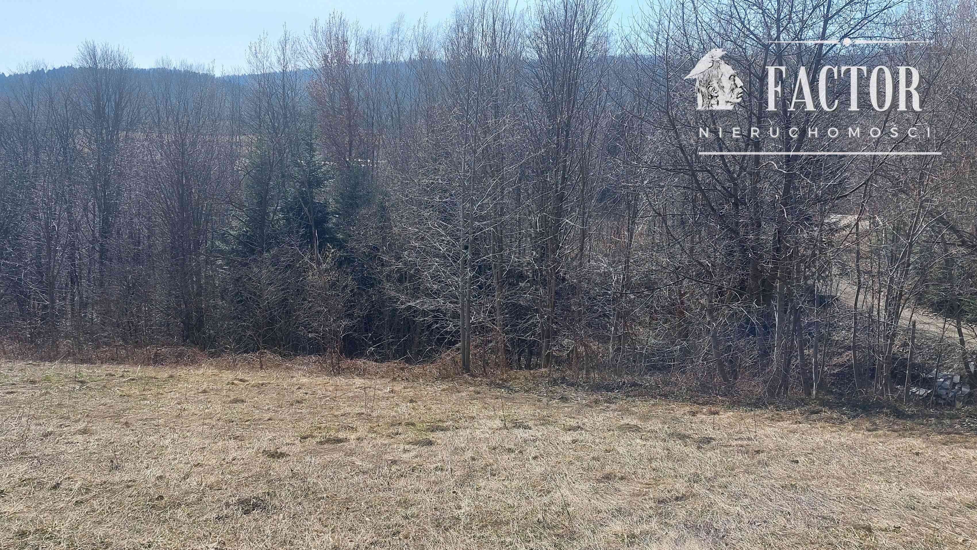 Działka budowlano-rolna 18,46 ara, Bieśnik, gm. Łużna - zdjęcie 2