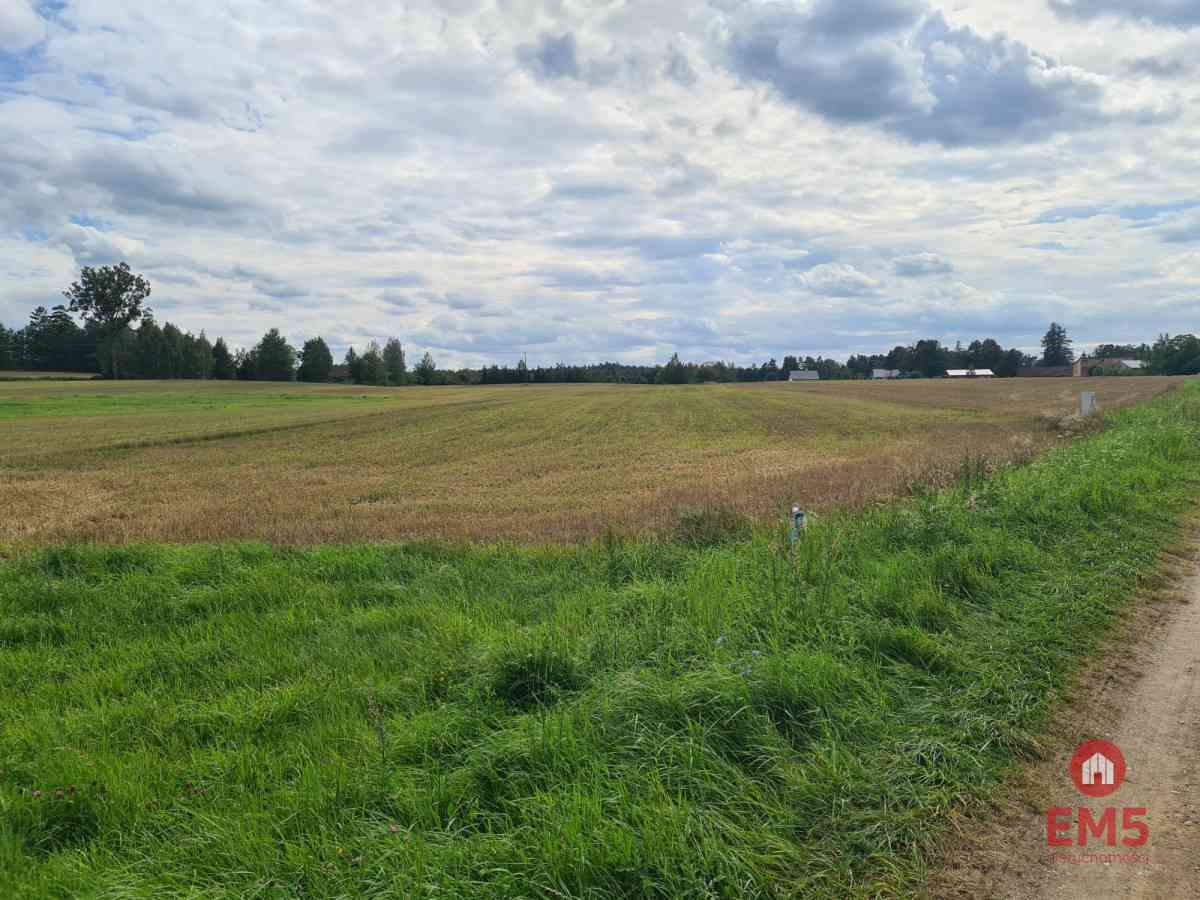 Działka w otulinie Puszczy Knyszyńskiej z WZ - zdjęcie 2