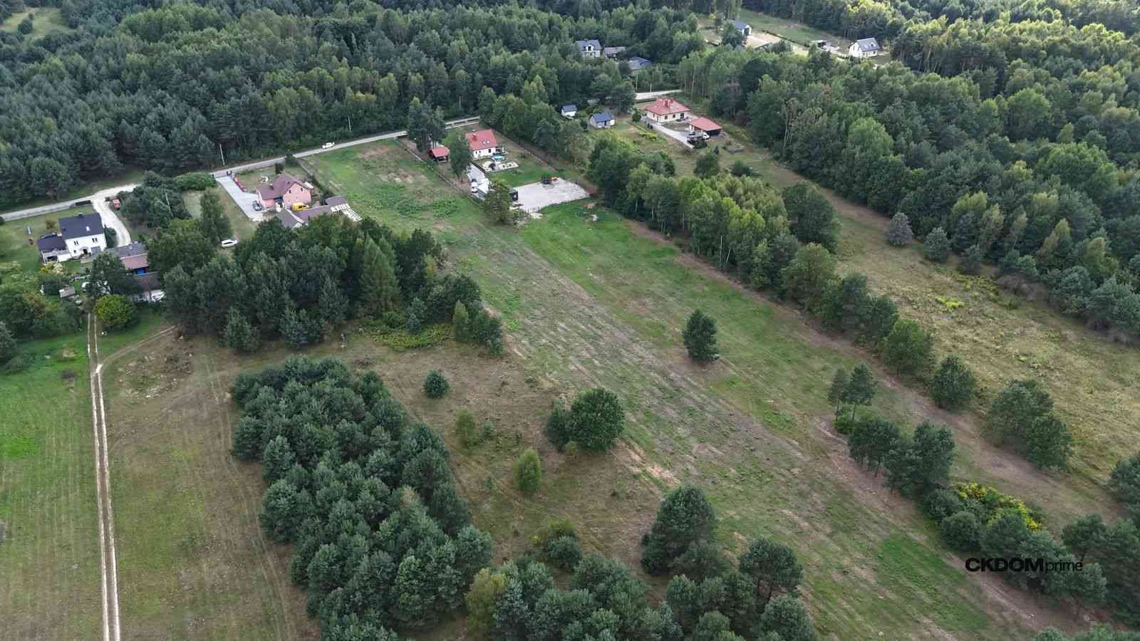 Działka na sprzedaż 910 m2 Gałęzice gm. Piekoszów - zdjęcie 9