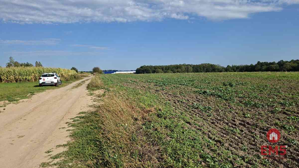 Działka inwestycyjna przy S8 - zdjęcie 5