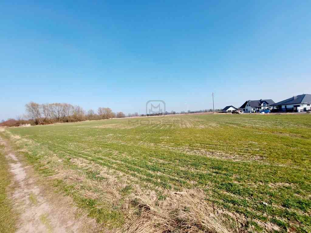 6 działek pod zabudowę jednorodzinną - Słubice - zdjęcie 11